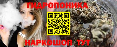 индика Гусиноозёрск