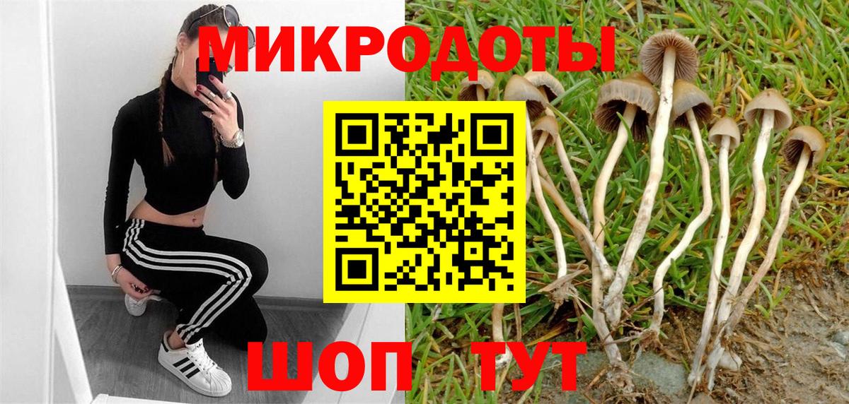 Псилоцибиновые грибы ЛСД Моздок