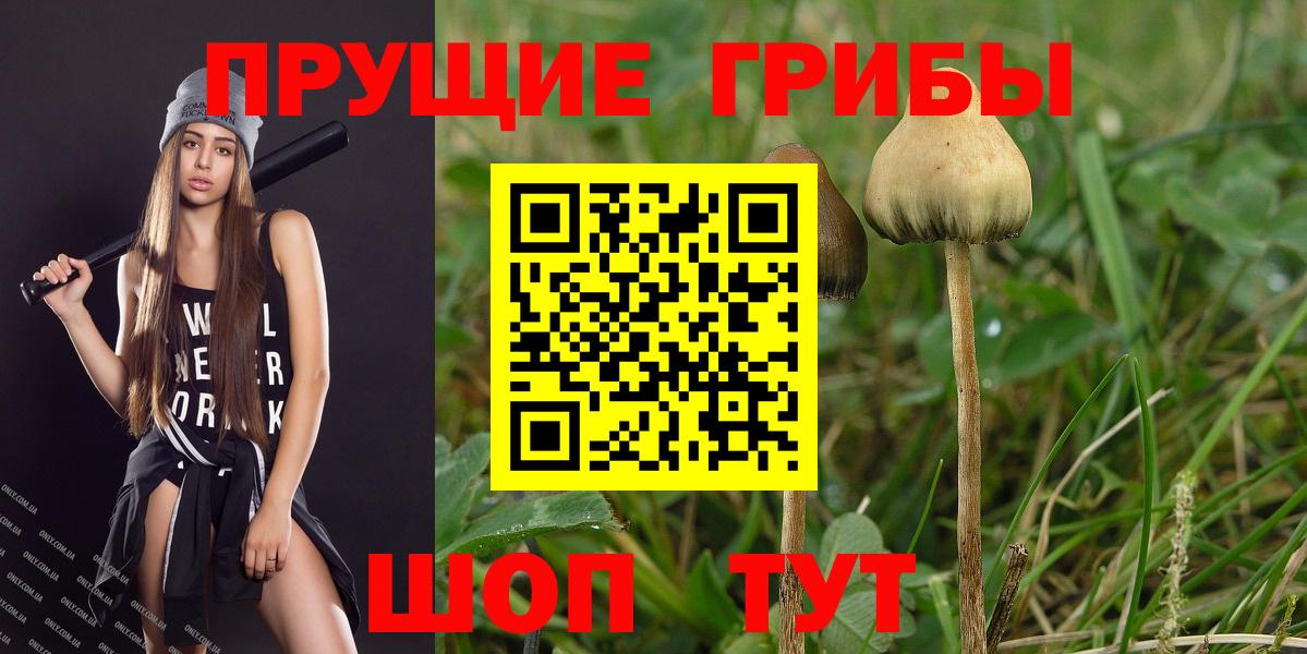 Галлюциногенные грибы MAGIC MUSHROOMS  купить наркотики сайты  Моздок  Вход с VPN 